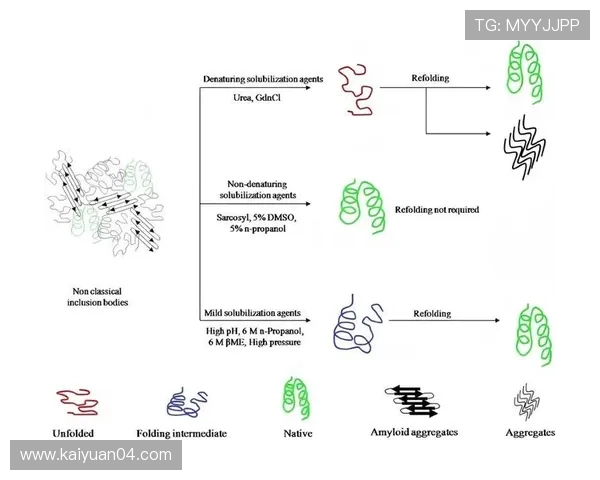 多平台支持下的ag真人网登录线路布局与优化策略详解